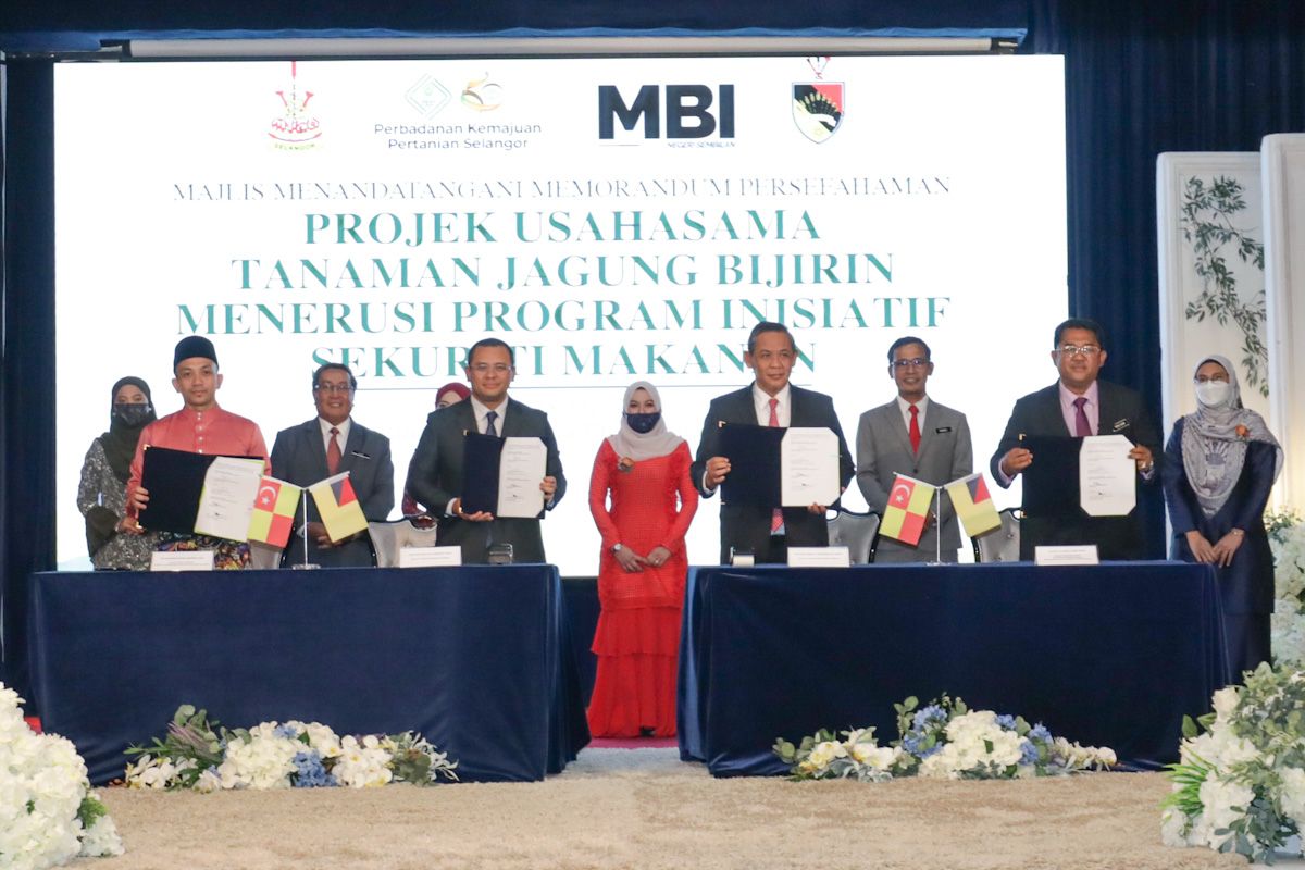 மக்காச்சோளம் நடும் திட்டத்தால் ஆண்டுக்கு RM1.07 கோடி வருமானம்