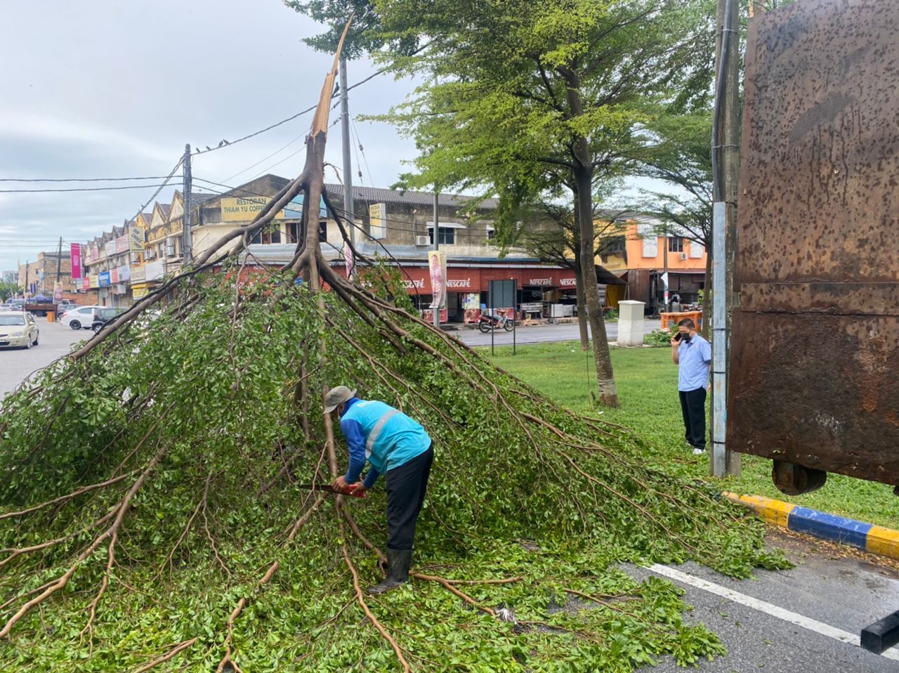 适耕庄今早刮强风　吹倒部分稻株玉米大树屋顶