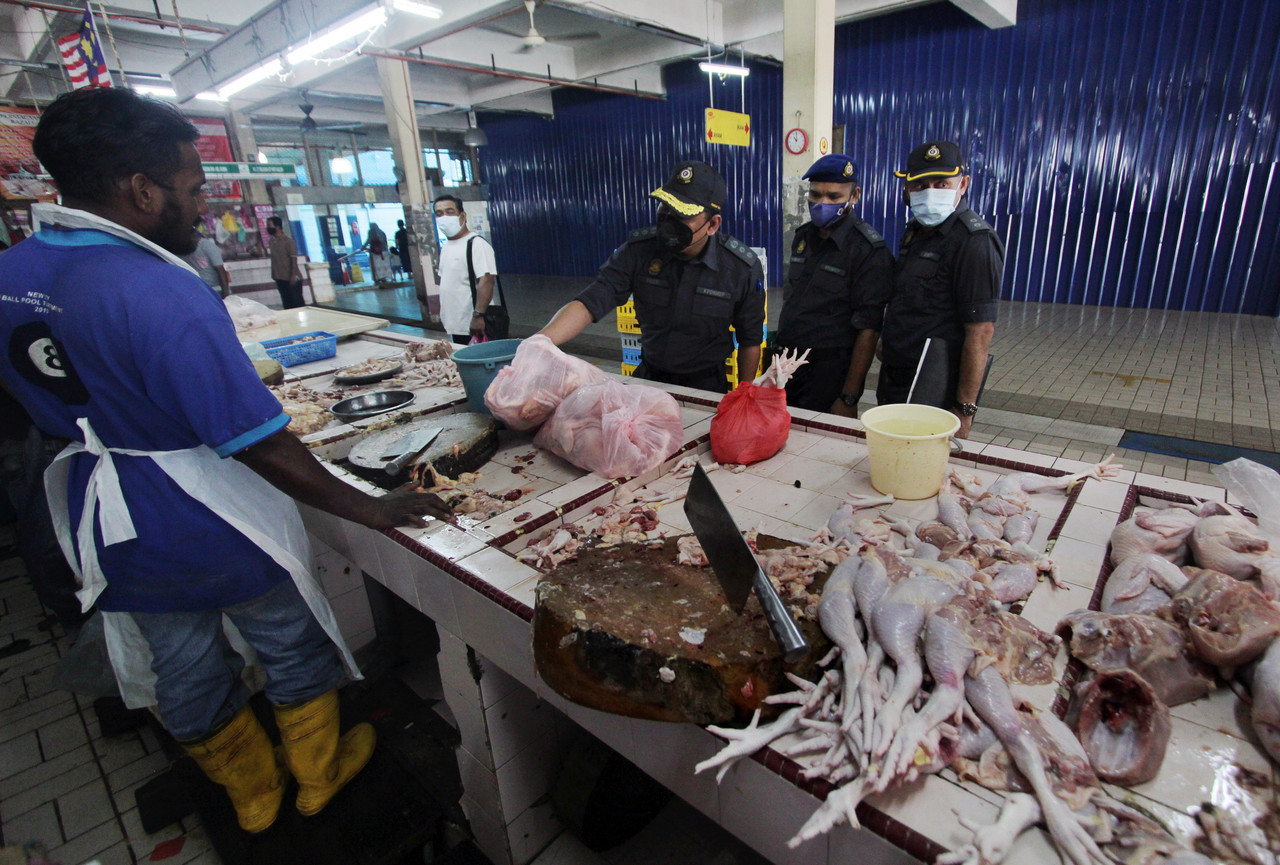 MAFI: Penternak jamin terus bekal ayam penuhi keperluan pasaran tempatan