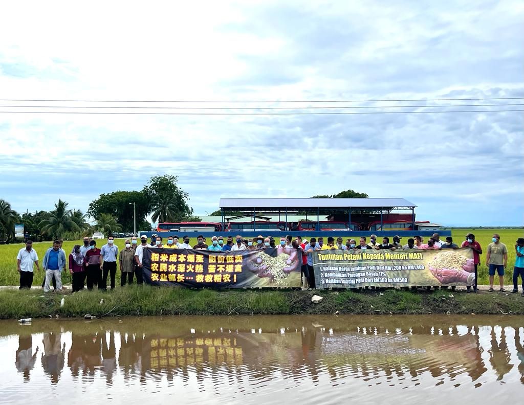 百物高涨.稻米收购价多年不调 适耕庄逾100稻农今日和平请愿促政府关注