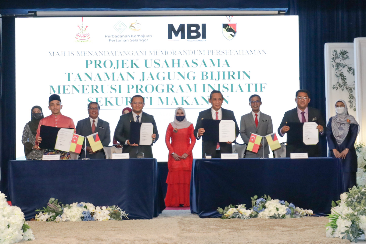 JV to grow grain for animal feed will generate RM10.7 mln in revenue annually