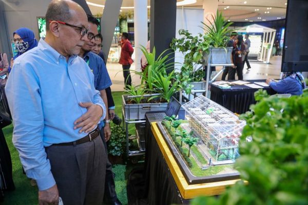 想当城市农夫找副收入 可到I- City雪州农业巡展寻机会