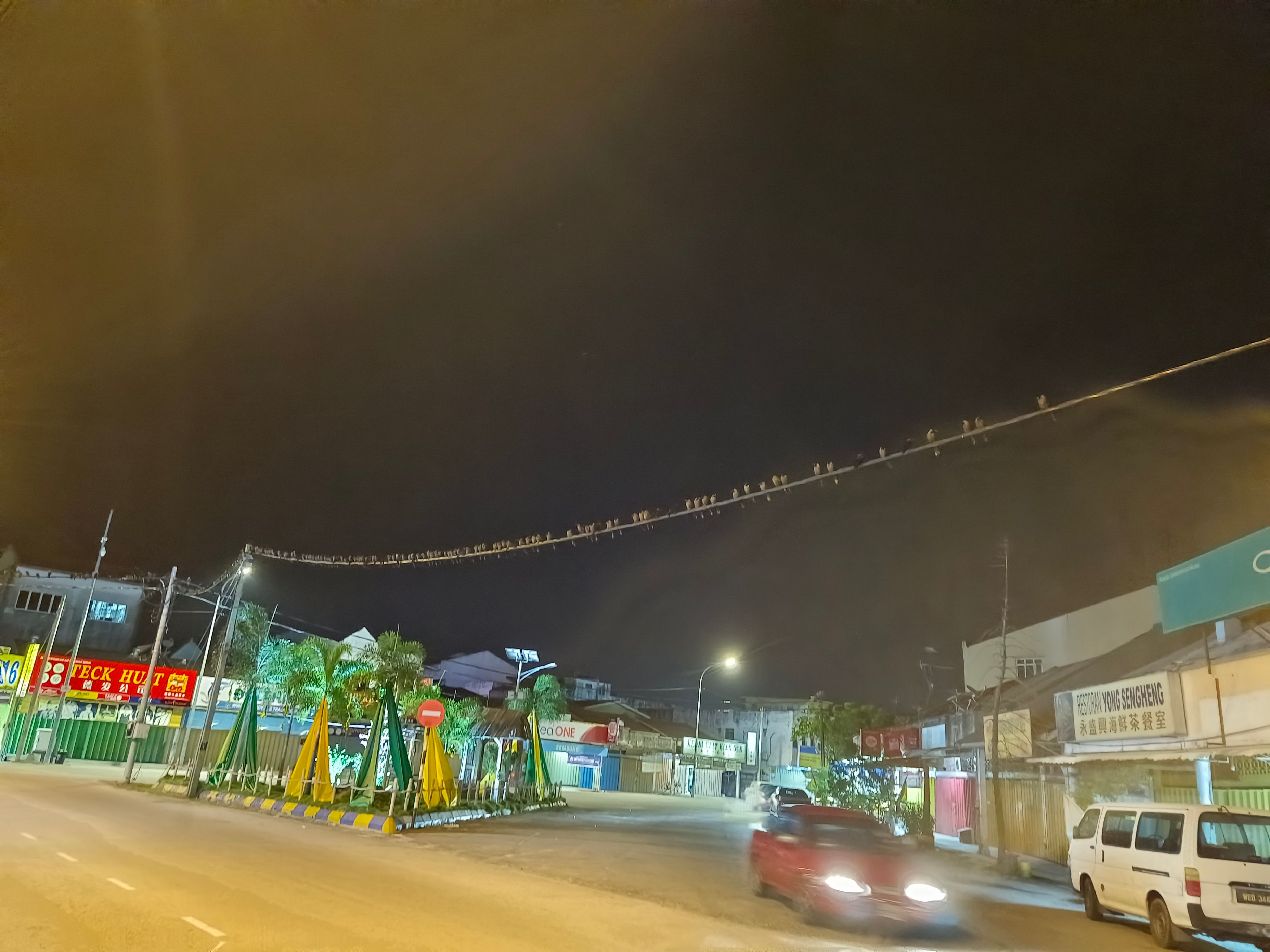 适耕庄乌鸦为患引发卫生问题 专业团队525.615进行射击