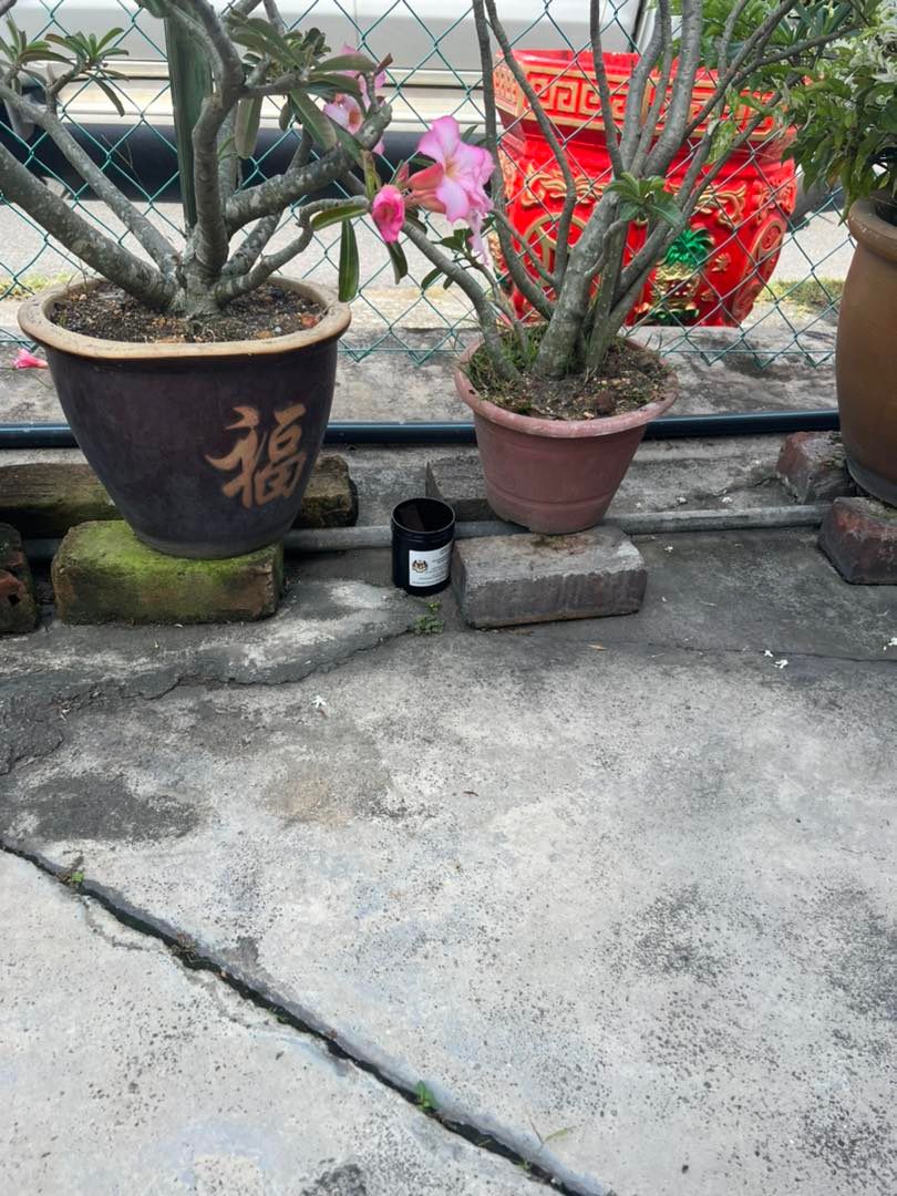 仁嘉隆学校一带置诱蚊产卵器 村民受促合作勿干扰