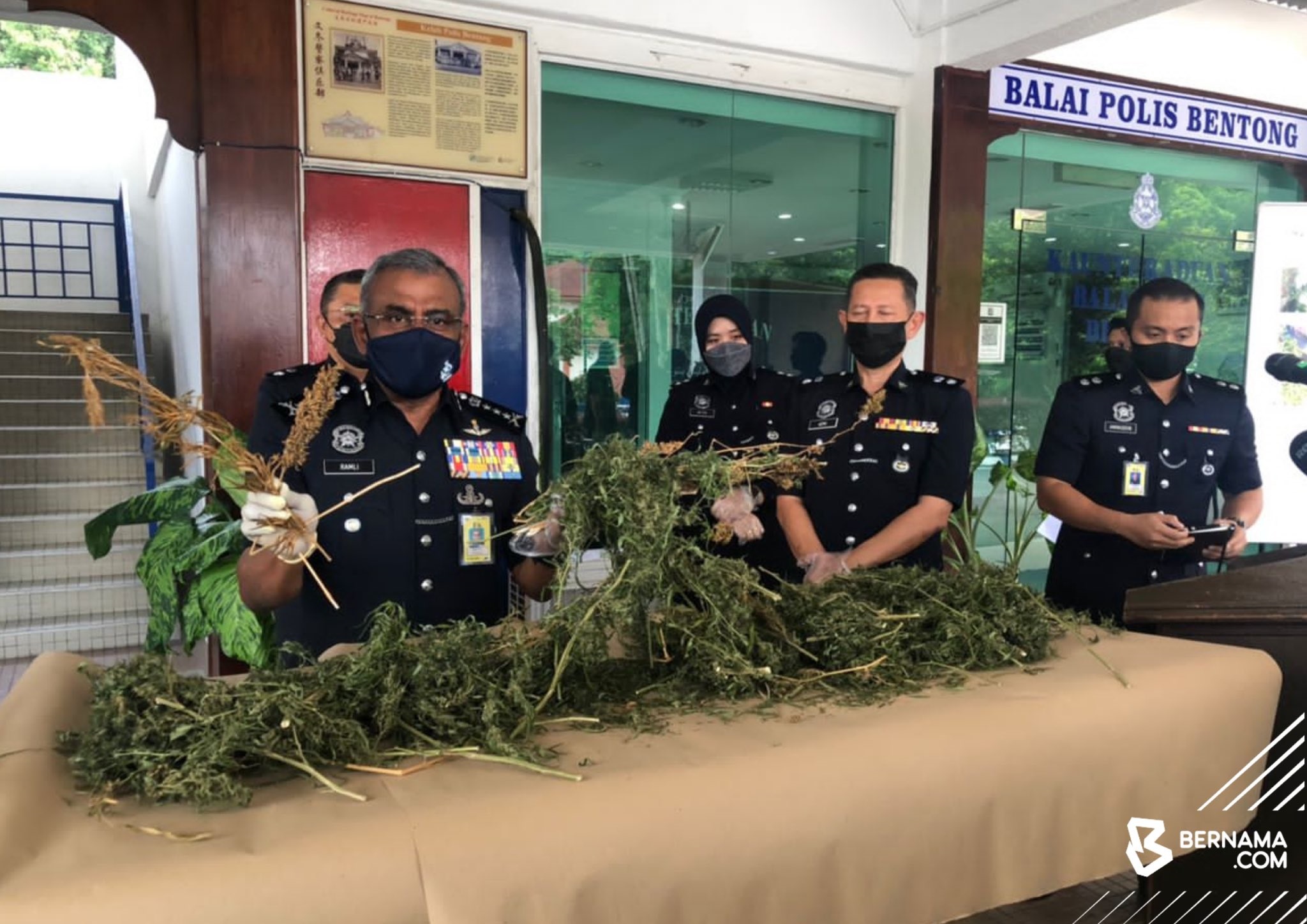Bekas diplomat, anak didakwa miliki minyak, edar ganja