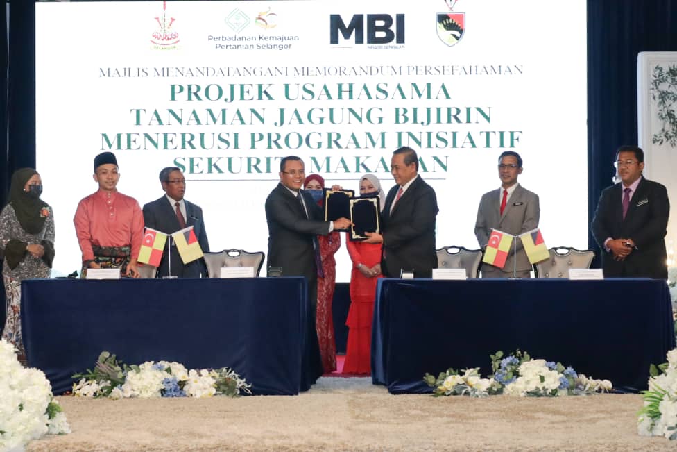 Selangor, Negeri Sembilan jalin kerjasama usahakan tanaman jagung bijirin