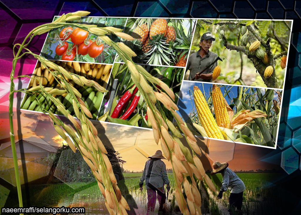 Ministry studying suggestion to set up food security special agency