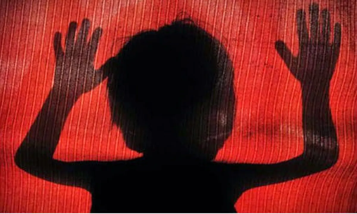 Cheras babysitter arrested over alleged abuse of infants