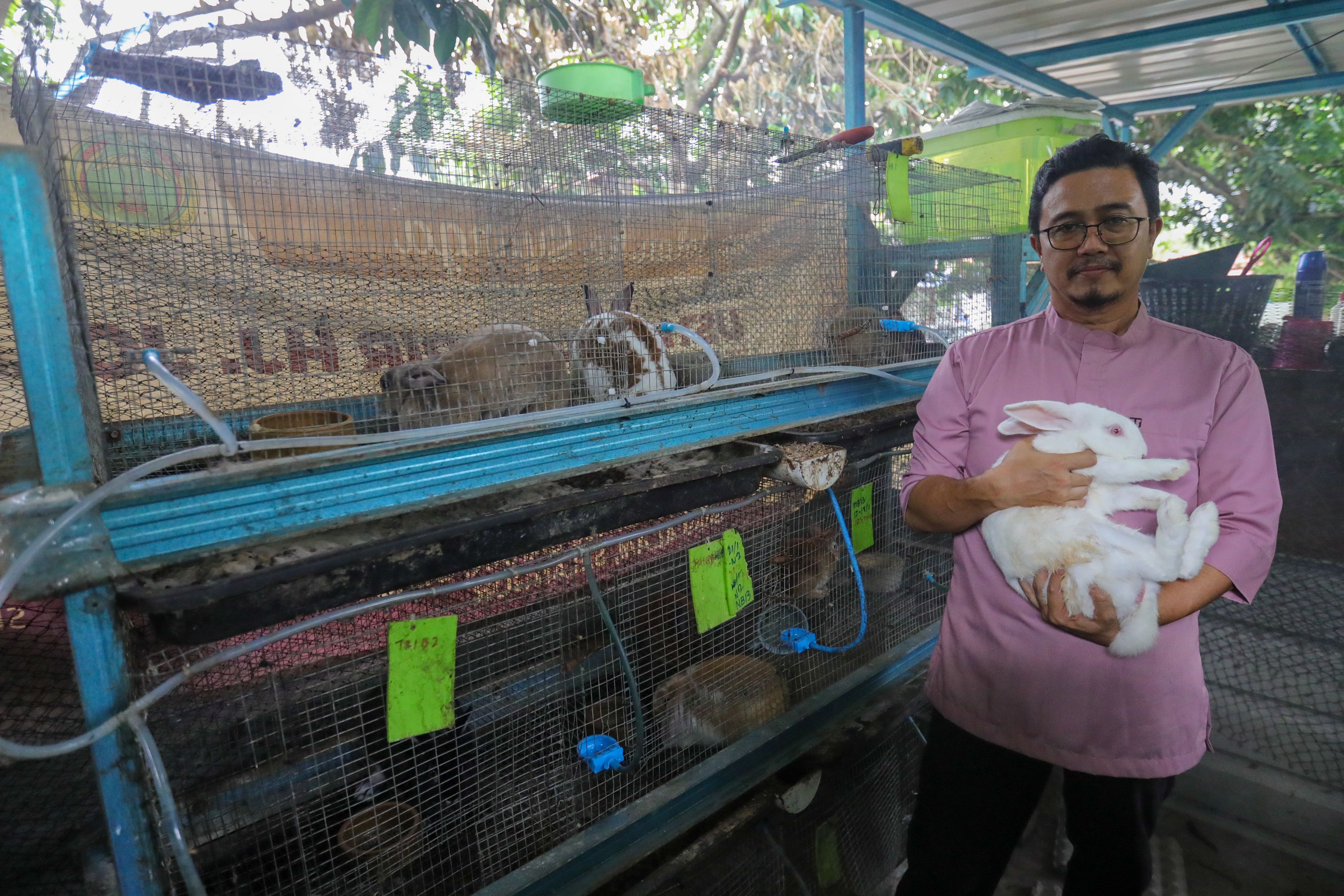Cemuhan dorong penganggur berniaga, dari roti hingga arnab perap