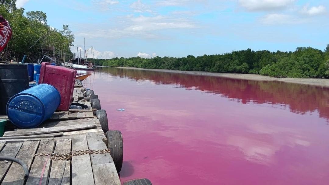 கிள்ளானில் ஆற்று நீரில் சிவப்பு திரவம் கலப்பா? லுவாஸ் மாசுபாட்டின் மாதிரிகளை பகுப்பாய்கின்றது