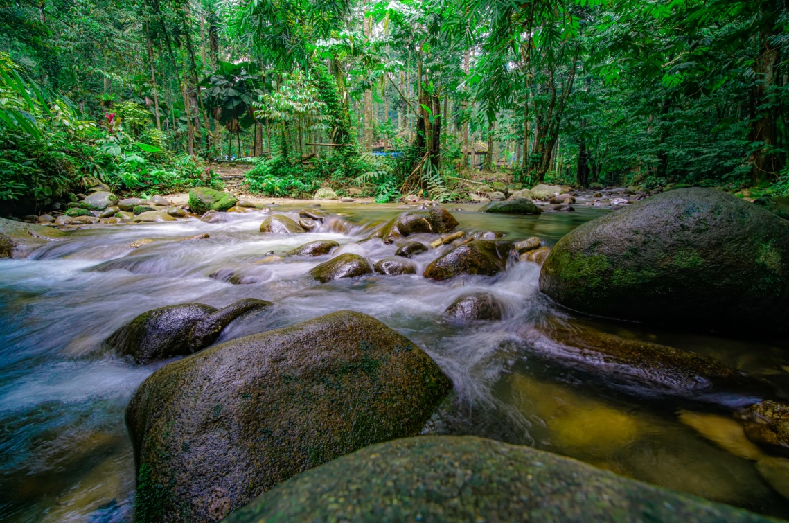 Selangor ecoparks reopen tomorrow