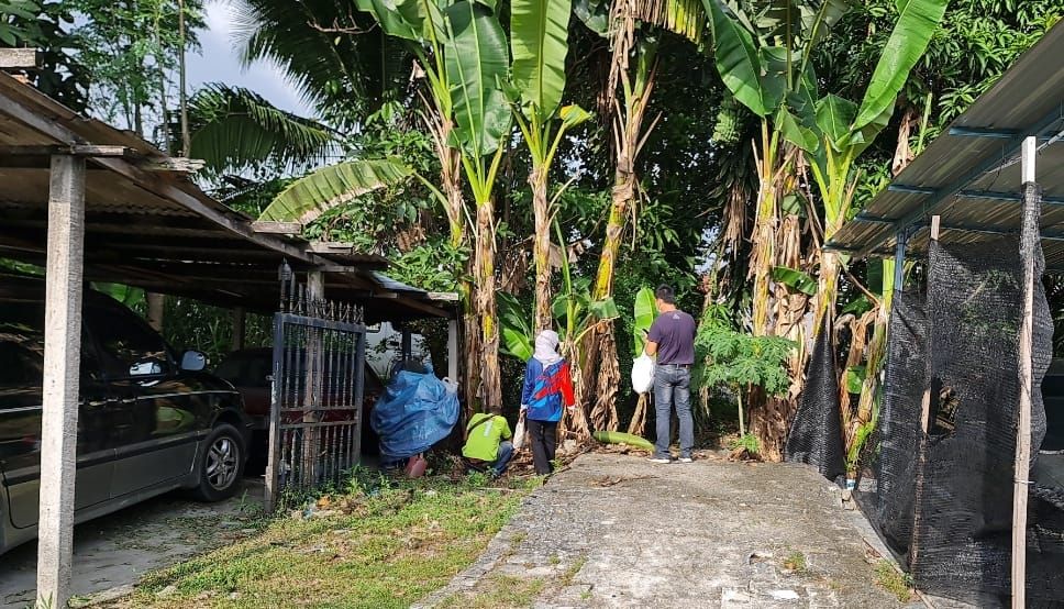 梳邦再也市厅骨痛热症降4% 市民受促勤消灭孑孓滋生地