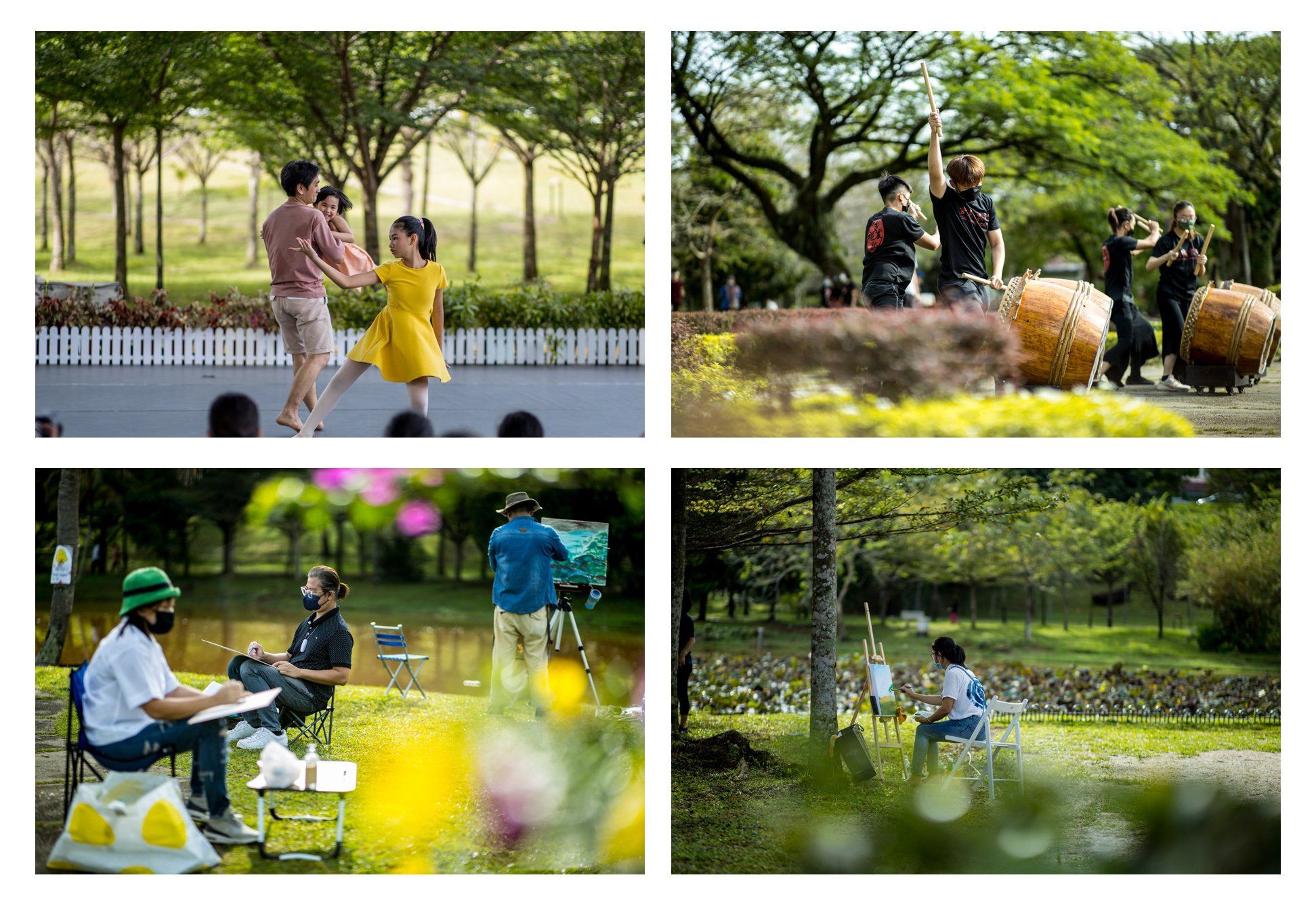 动力蒲种摄影赛作品出炉 镜头记录宏愿公园之美