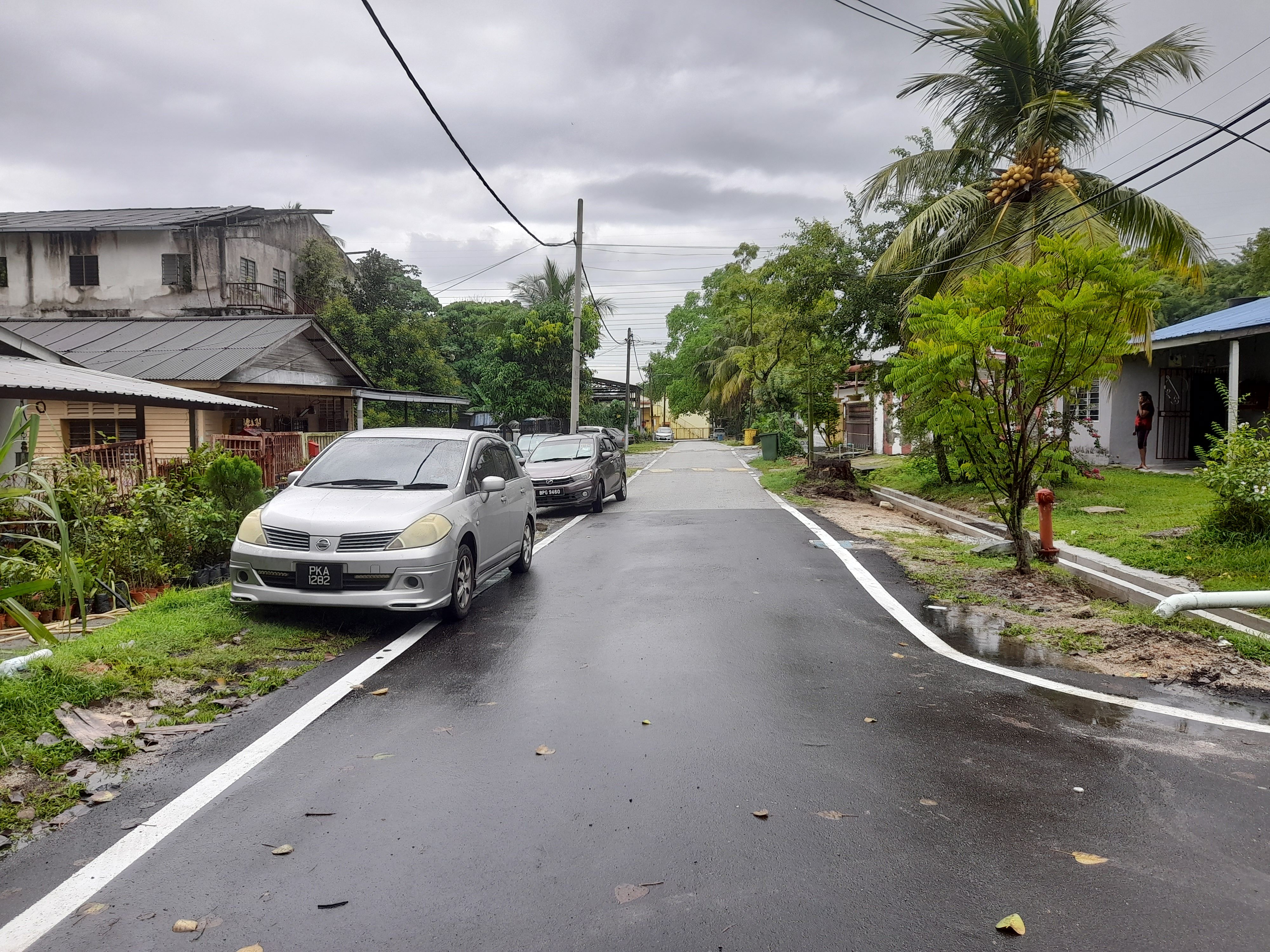 狂风暴雨恐吹倒大树  太平村村民吁快修剪
