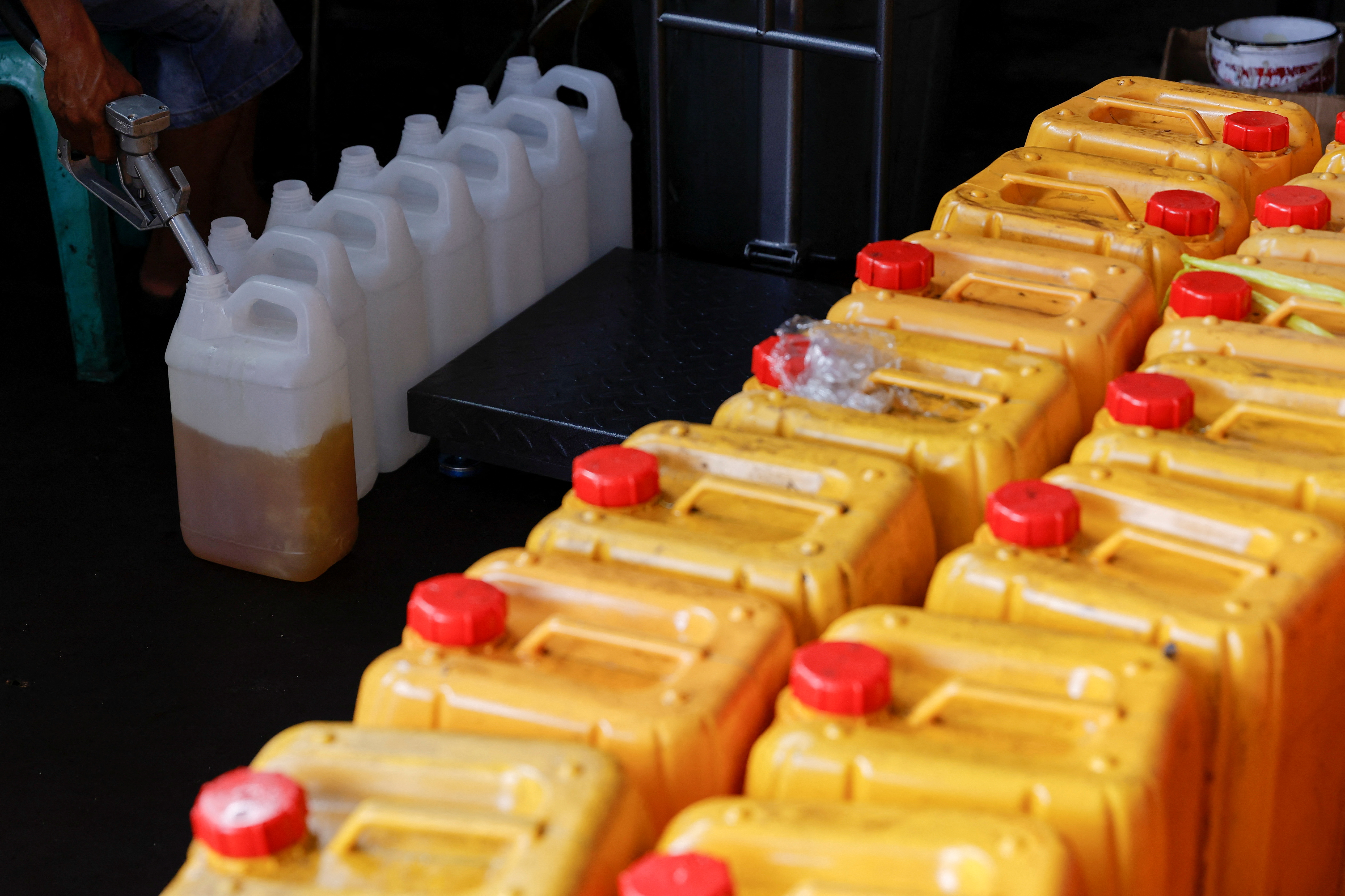India imports over 312,000 tonnes of palm oil from Malaysia in Dec 2022