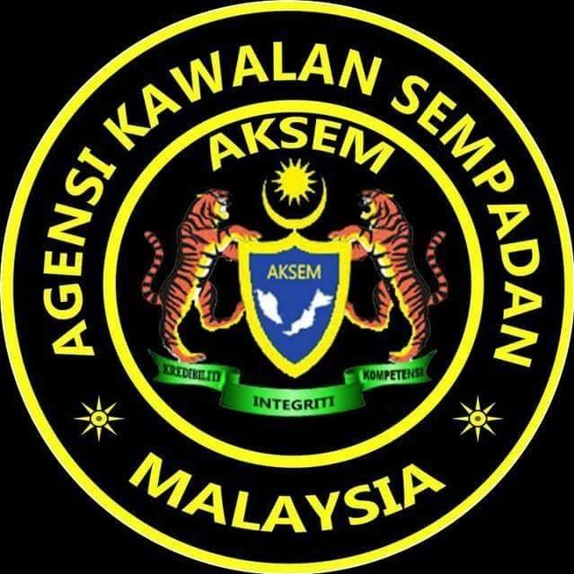 Dissolution of Aksem has no negative effect on border security — Deputy minister