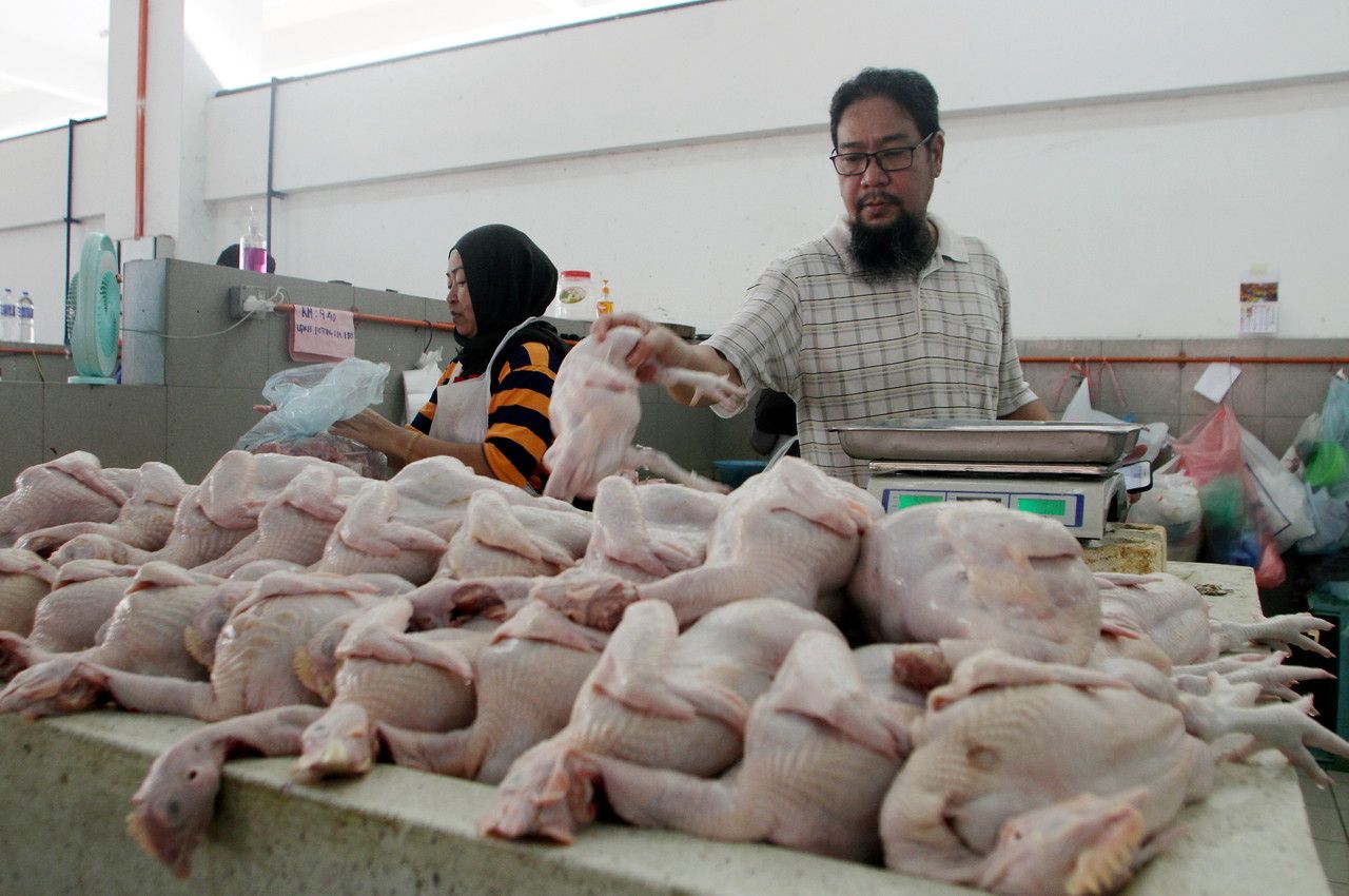 Kerajaan kaji penetapan harga siling ayam selepas 31 Ogos
