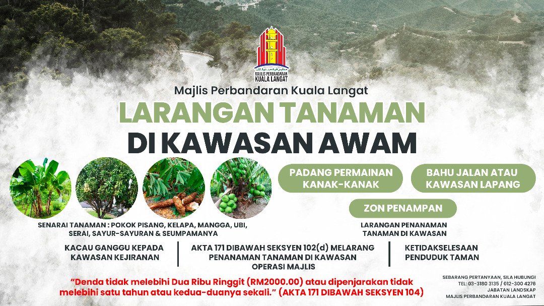 MPKL: Tanam pokok di kawasan awam boleh didenda sehingga RM2,000