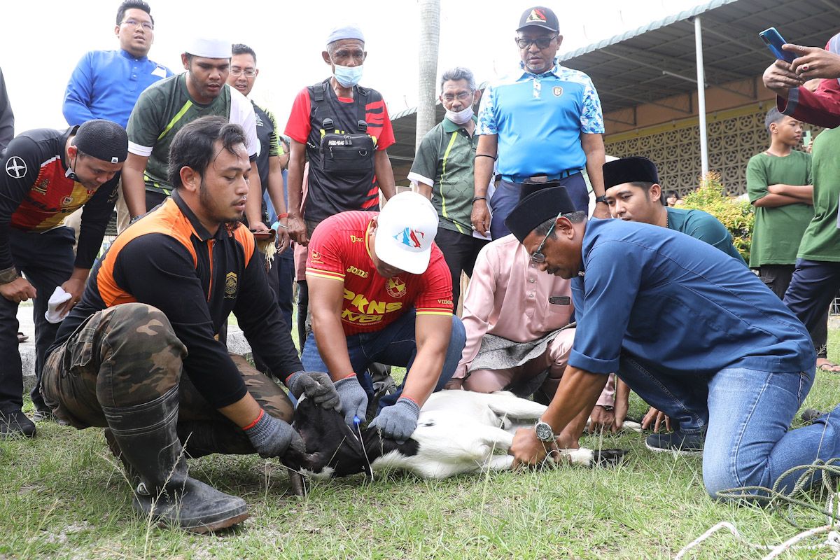 Haiwan korban bertambah, umat Islam tetap bersyukur walau ekonomi tidak menentu