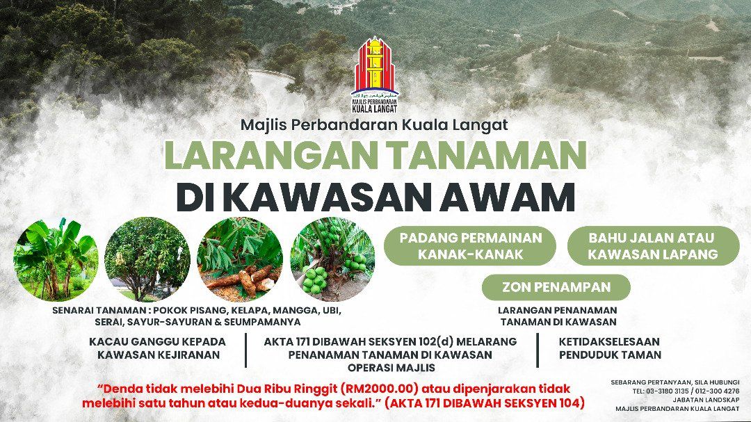 கோலா லங்காட்டின் பொது இடங்களில் மரங்கள், பயிர்கள் நடுபவர்களுக்கு அபராதம் வழங்கப்படும்