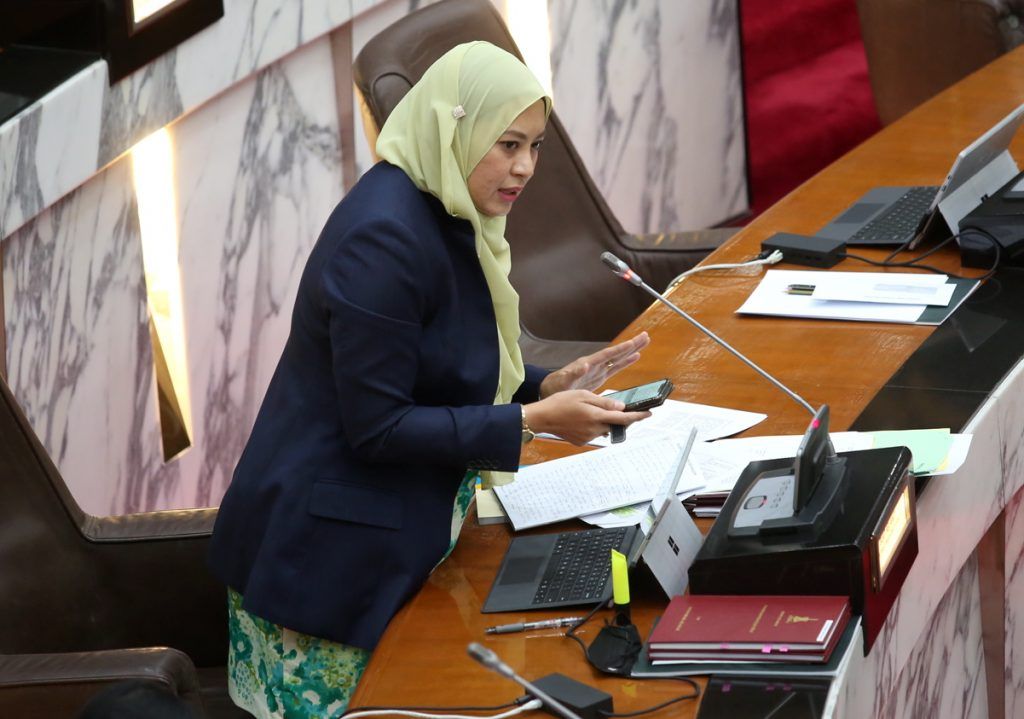 RS-1: Proposal for non-area state reps be formed as decision makers under plan