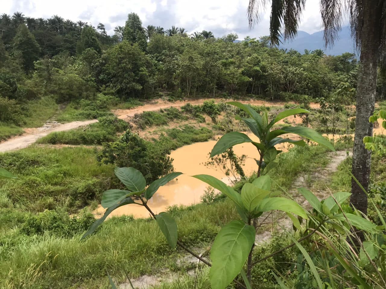 峇冬加里河水质没浑浊 滤水站昨停运未影响水供