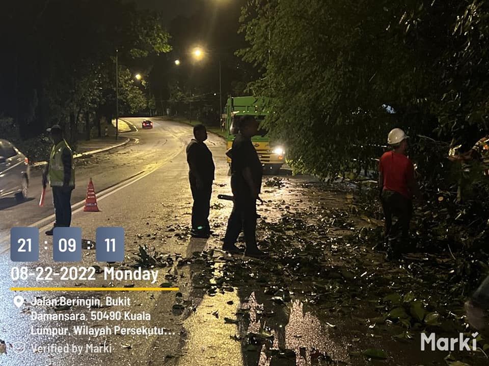 隆市昨狂风刮倒树 压毁10轿车及摩托