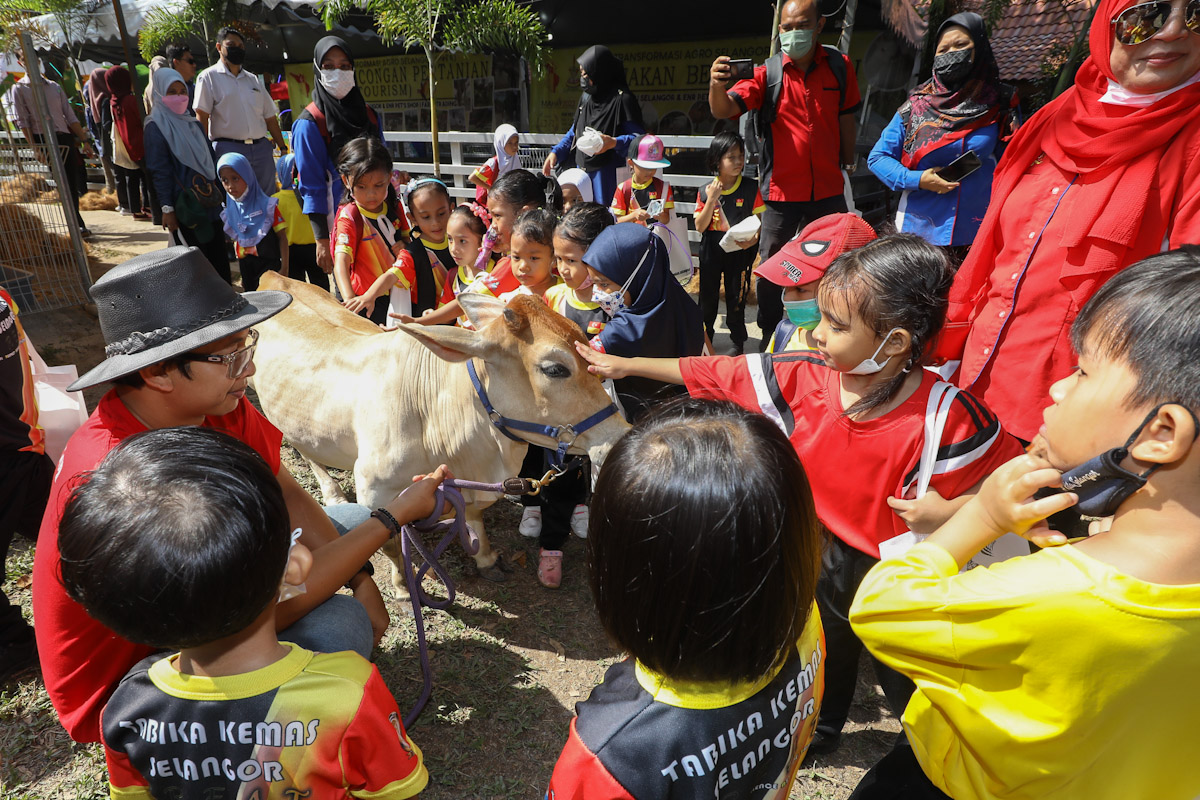 KP: RM40 juta diperuntuk baik pulih Tabika, Taska KEMAS