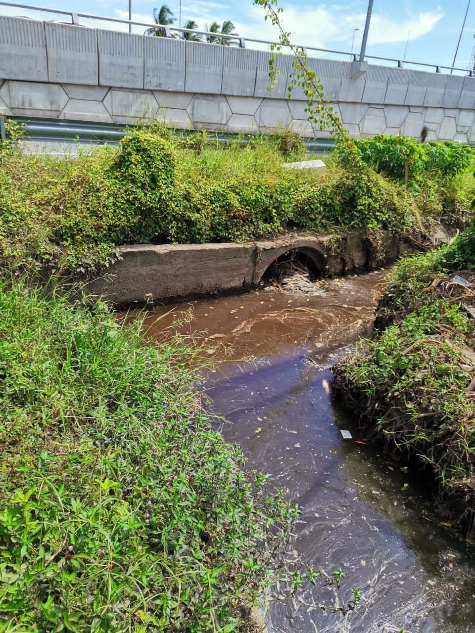 适耕庄地下水涵疑阻塞 是5月闪电大水灾主因