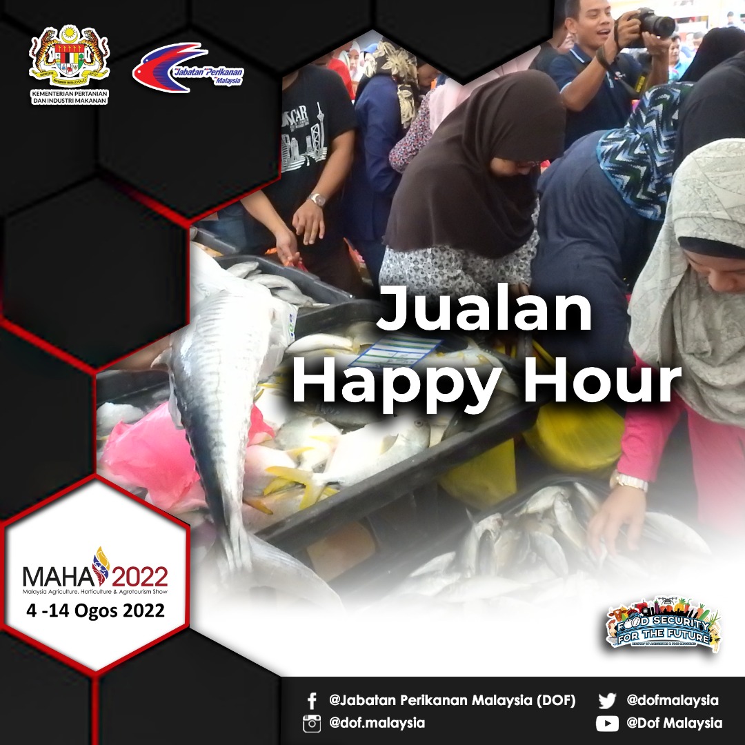 MAHA 2022: Laman padi tawar beras 5kg hanya RM10 pada masa terhad