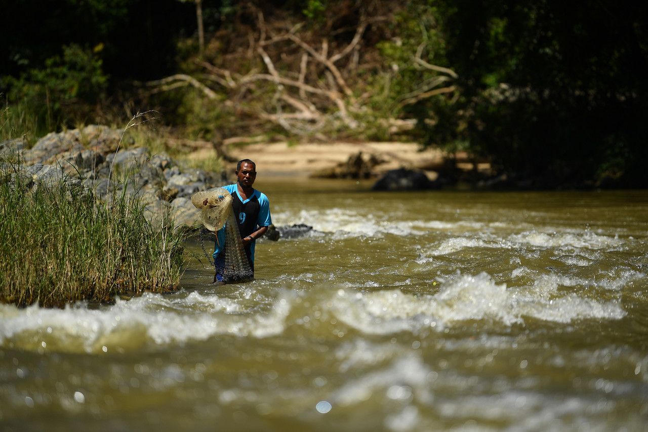 Orang Asli cekal berpuasa, biasa berbuka dengan ubi kayu kerana kehabisan makanan