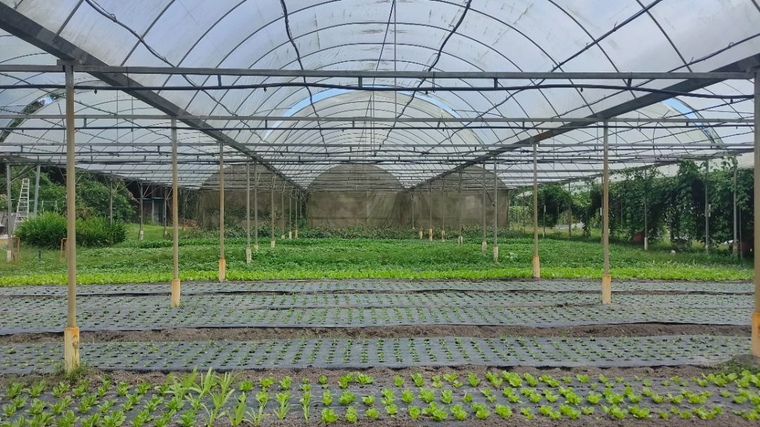 【有机发展系列4/4】农民倾注身家没钱盖厕所 · 推动有机需加强教育宣导