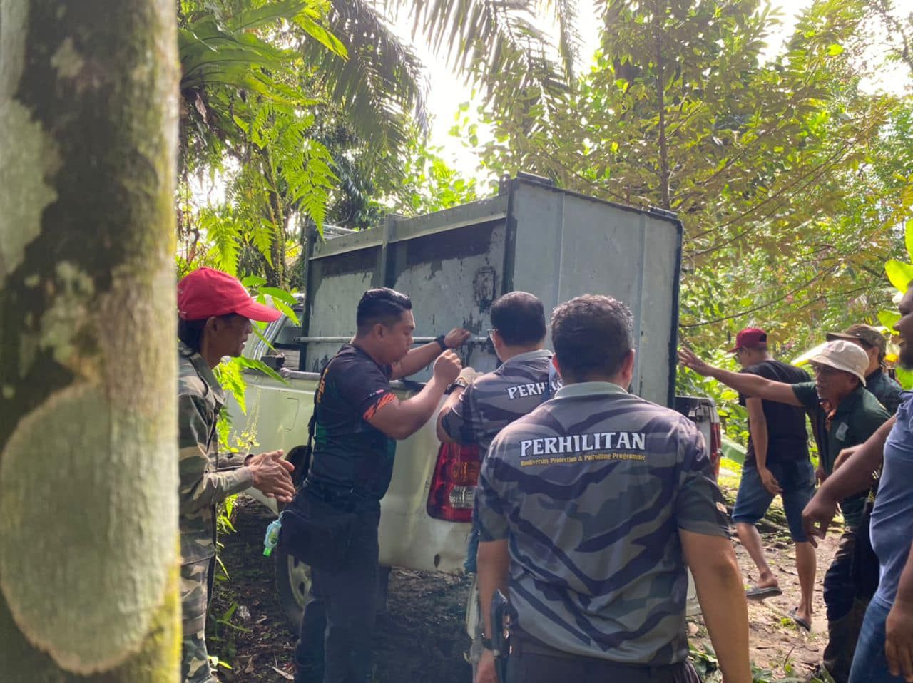 误闯垦殖民区蜂蜜园   黑熊获打救送返森林