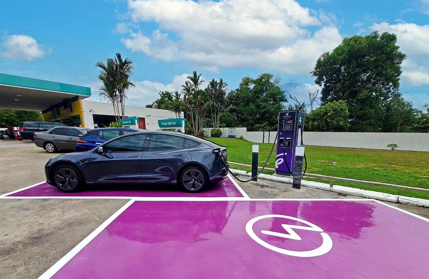 Govt incentives key to EV demand growth in Asia – Sustainable Fitch