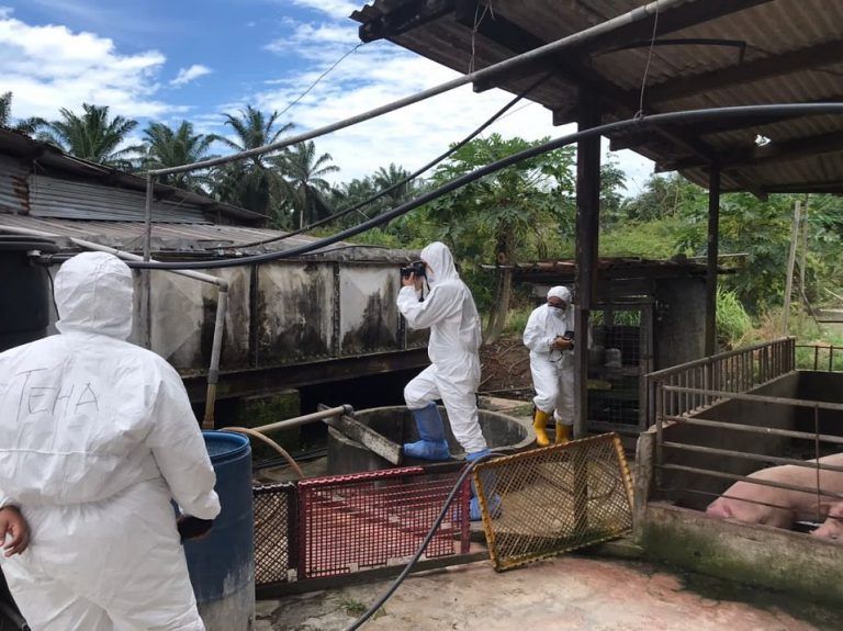 雪养猪场受促提升污水系统 避免污染水源