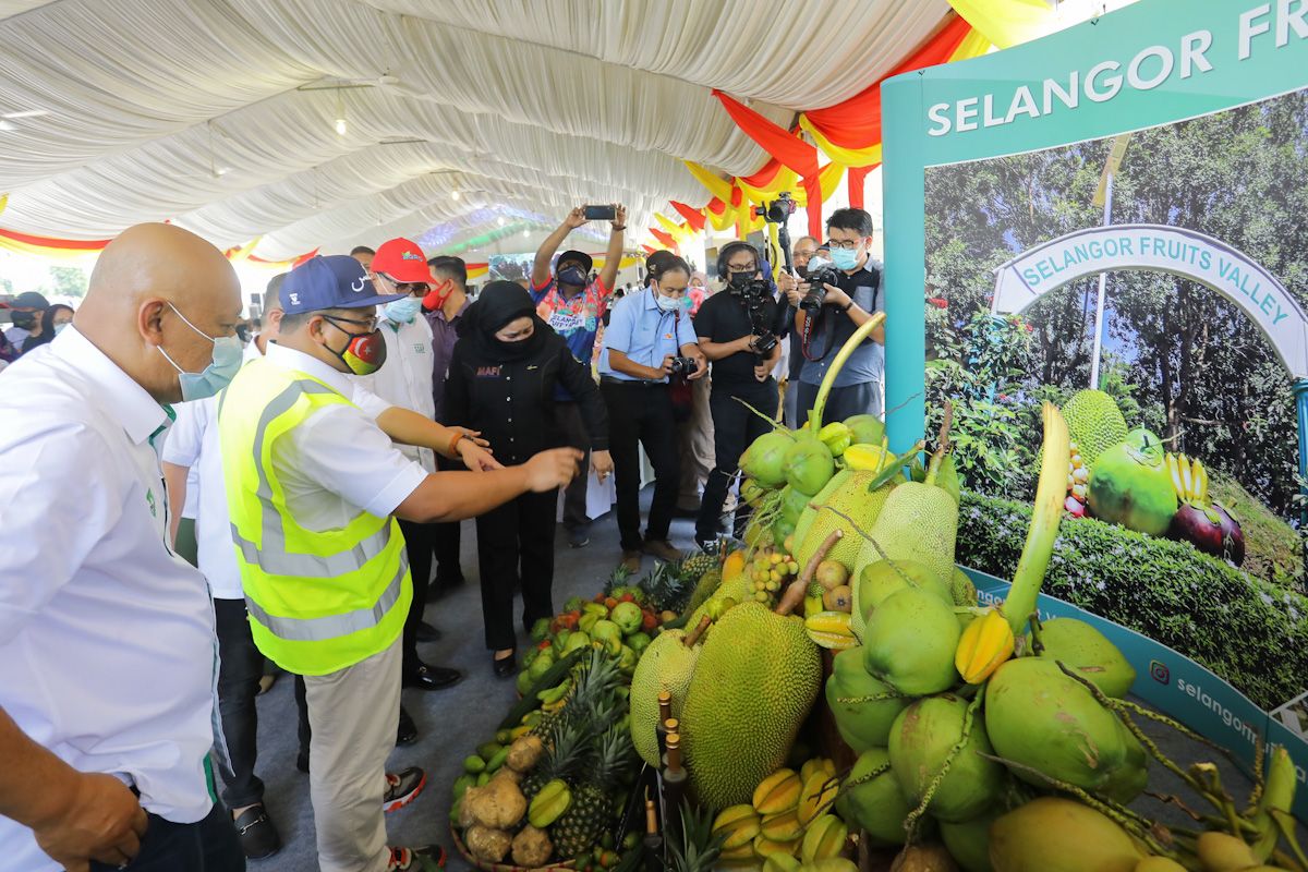 雪州通过改革大蓝图 系统化发展农业.保证粮食安全网