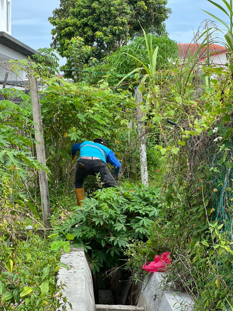 适耕庄B村后巷被围上锌板 加剧清沟难度.居民受促给予空间