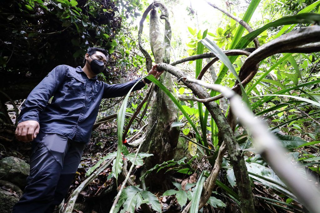 需遵守森林局及技术条件    雪政府严管采石活动