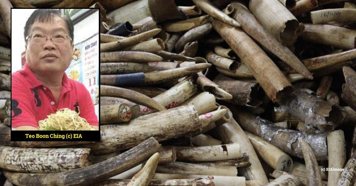 涉嫌跨国走私贩卖犀牛角 “拿督斯里”公民遭引渡美国受审