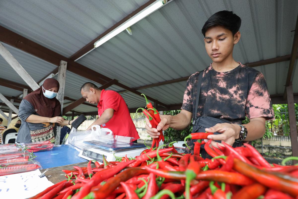 Program inkubator usahawan belia tani dibuka sehingga 15 Disember 2022