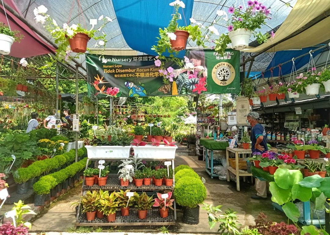 观赏植物或隐藏农药残留物 · “环保园艺”邀民众参与认证