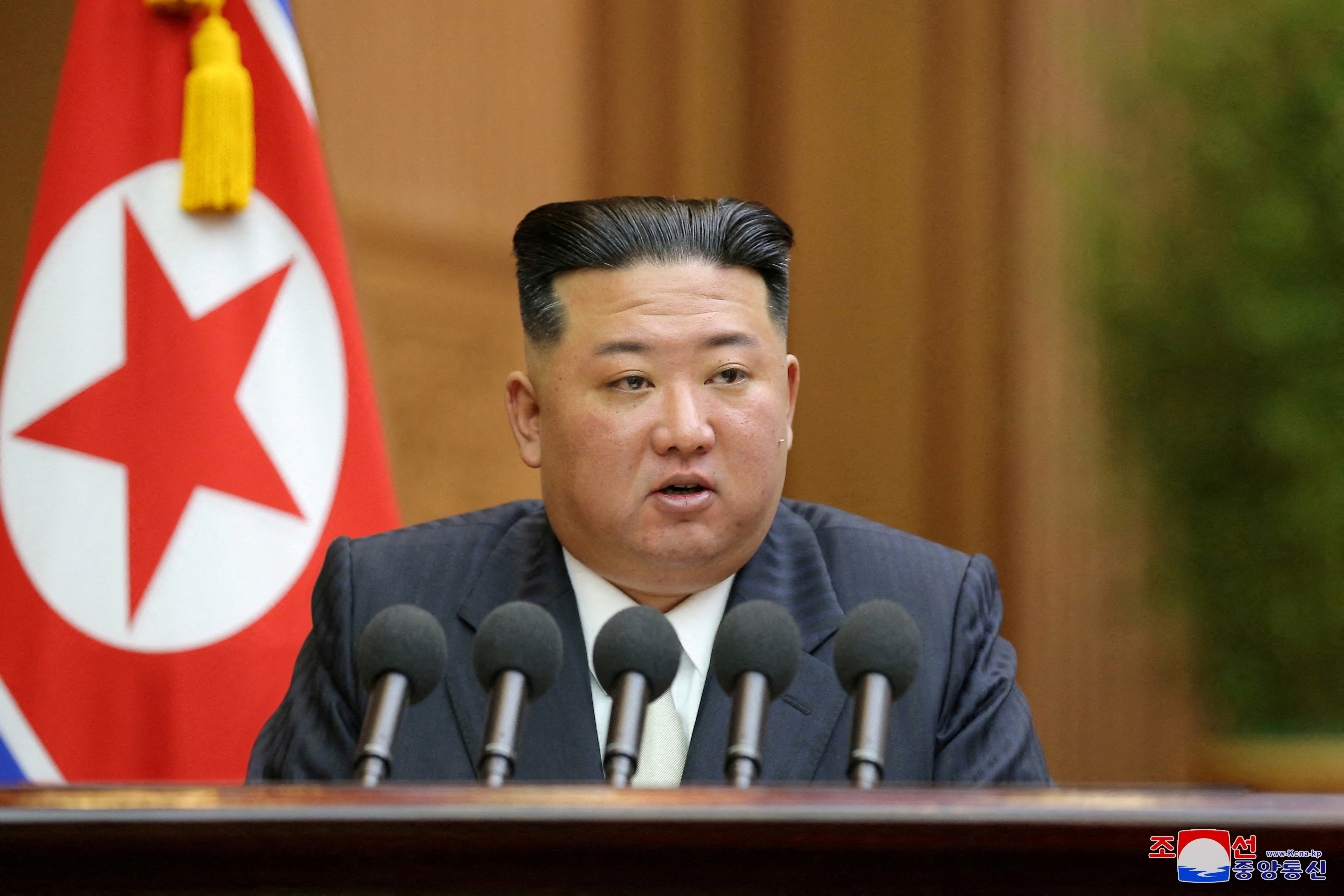 Kim Jong Un vows stronger ties with Russia in message to Putin