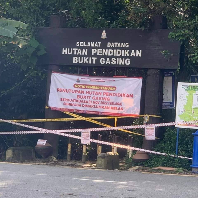 MBPJ: Notis penutupan Hutan Pendidikan Bukit Gasing palsu