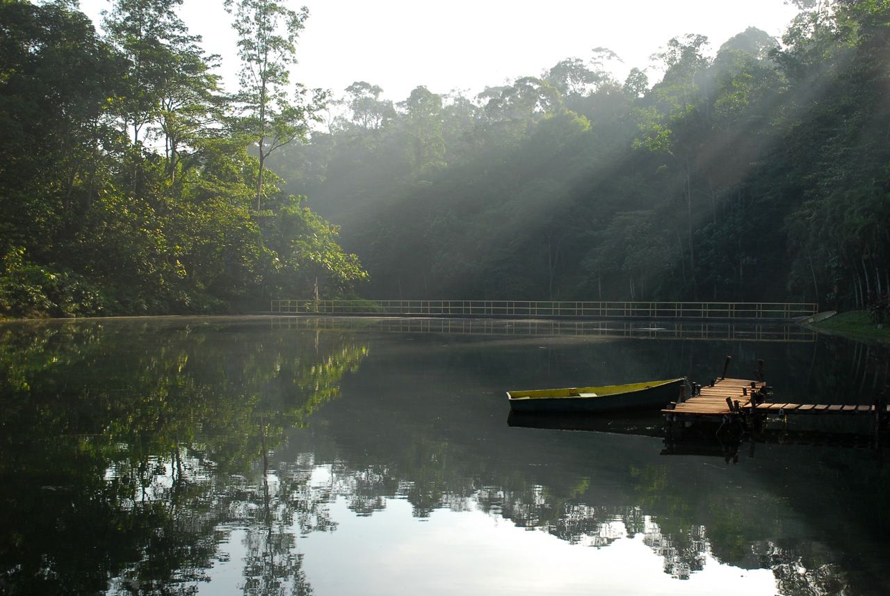许来贤：至2035年 雪州伐木禁令仍有效