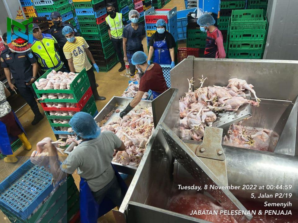 加影市会突袭一宰鸡场，发2传票