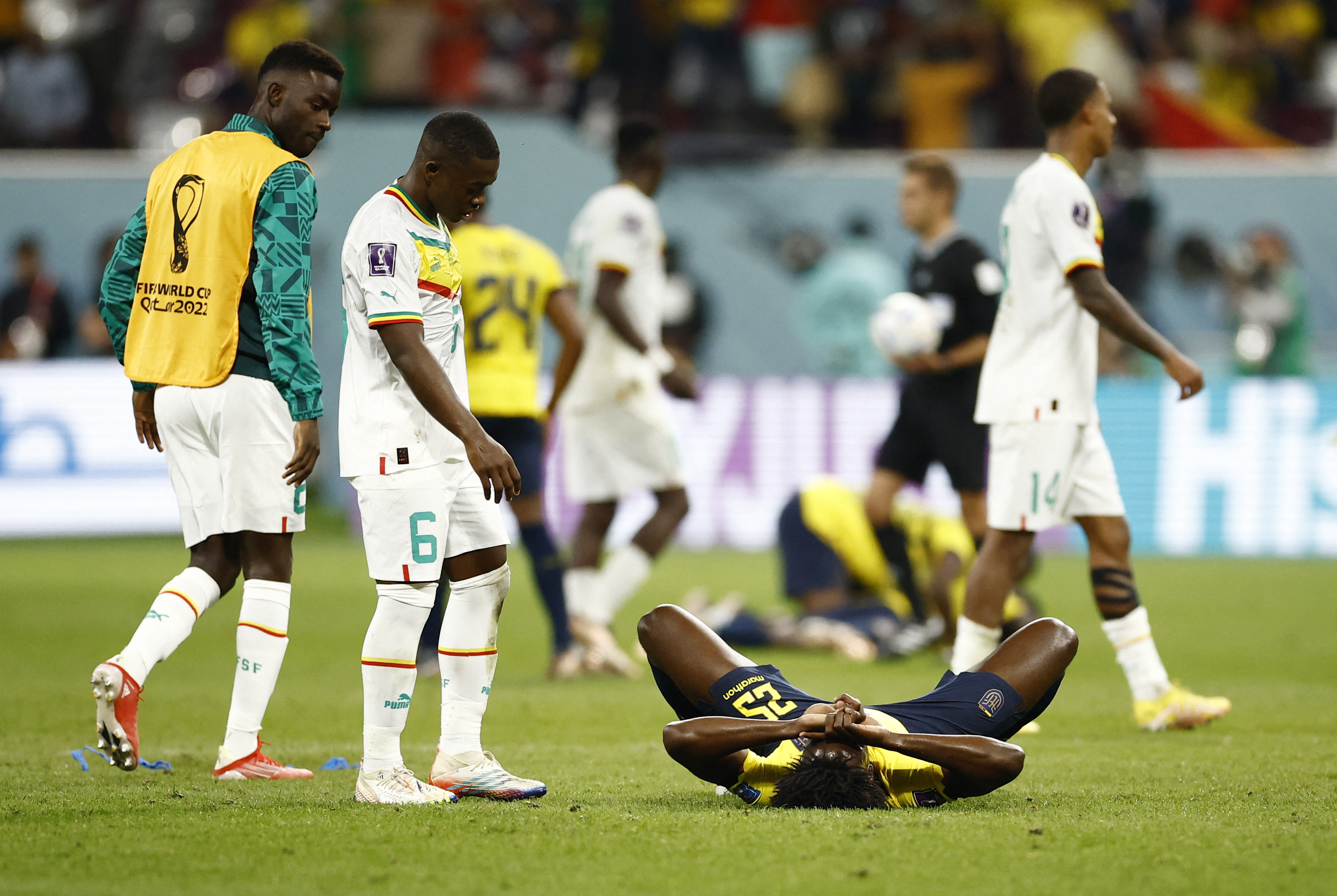 Despite agonising exit, Ecuador's 'kids' came of age at World Cup