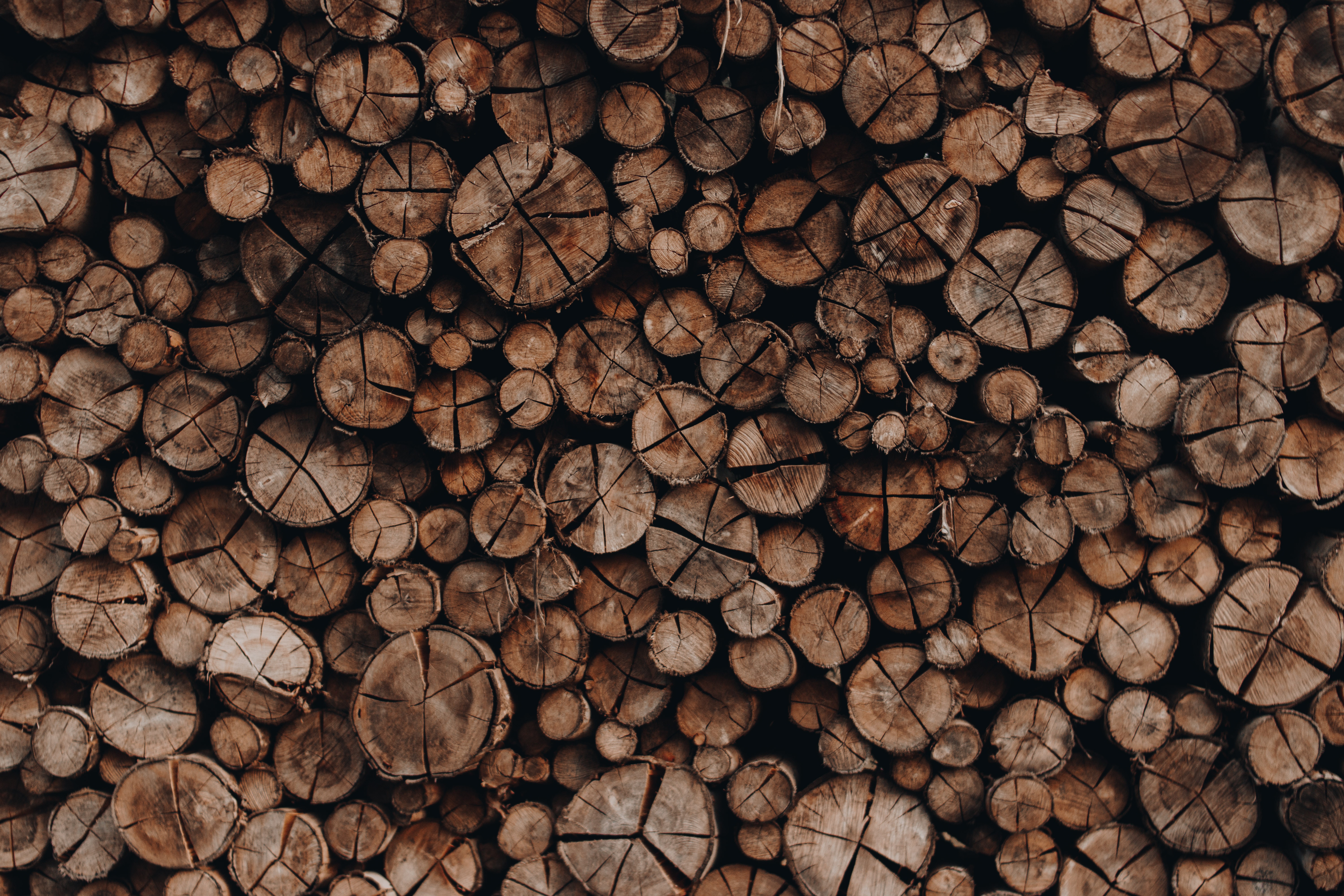 Exports of timber industry rises 3.4 pct in 2021 — DOSM