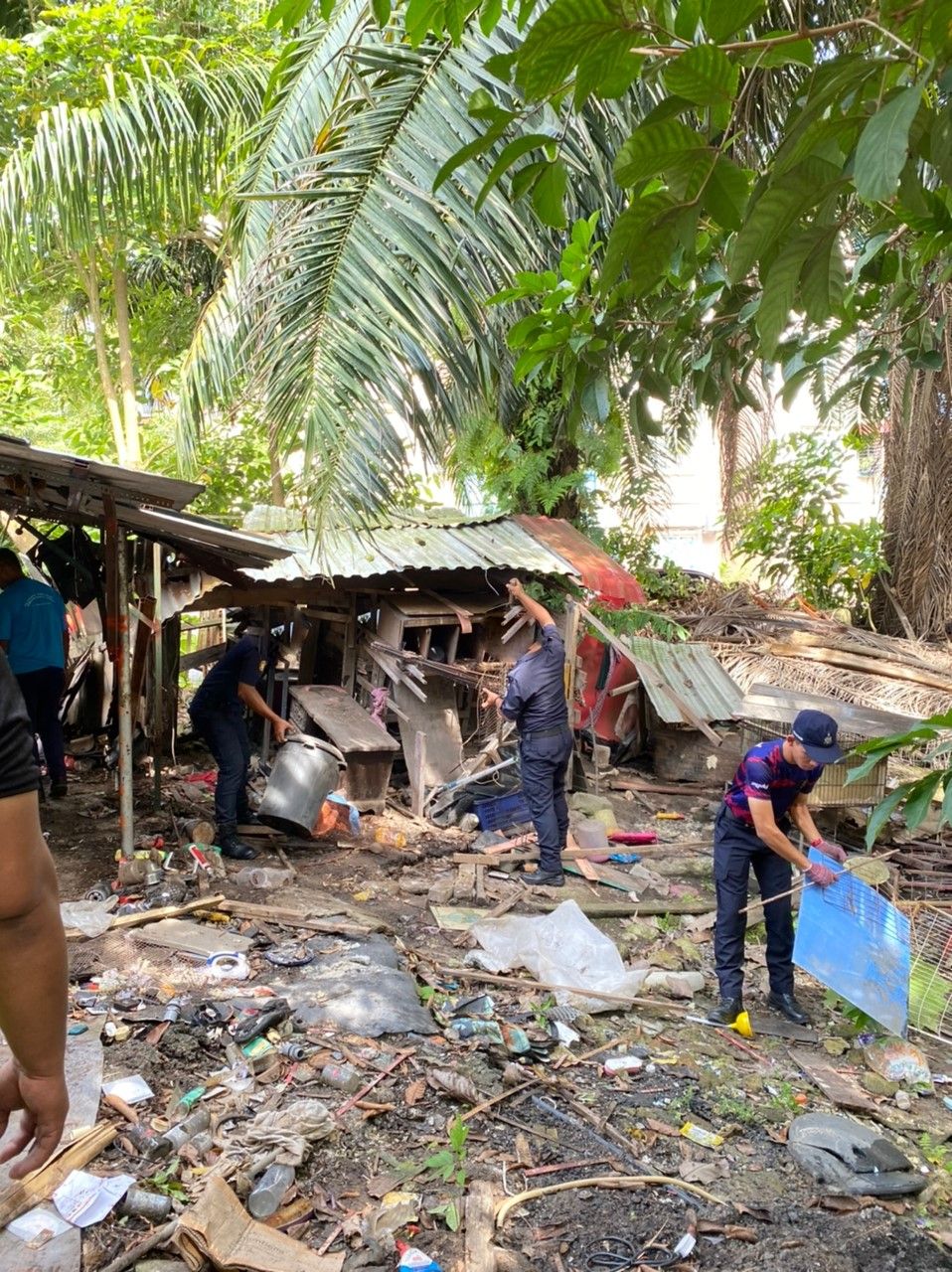 沦蛇虫鼠蚁巢穴 瓜冷市会拆违建仓库