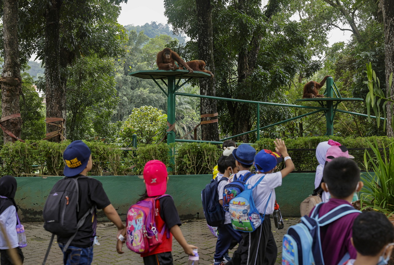 Zoo Negara surpasses 450,000 visitor target this year