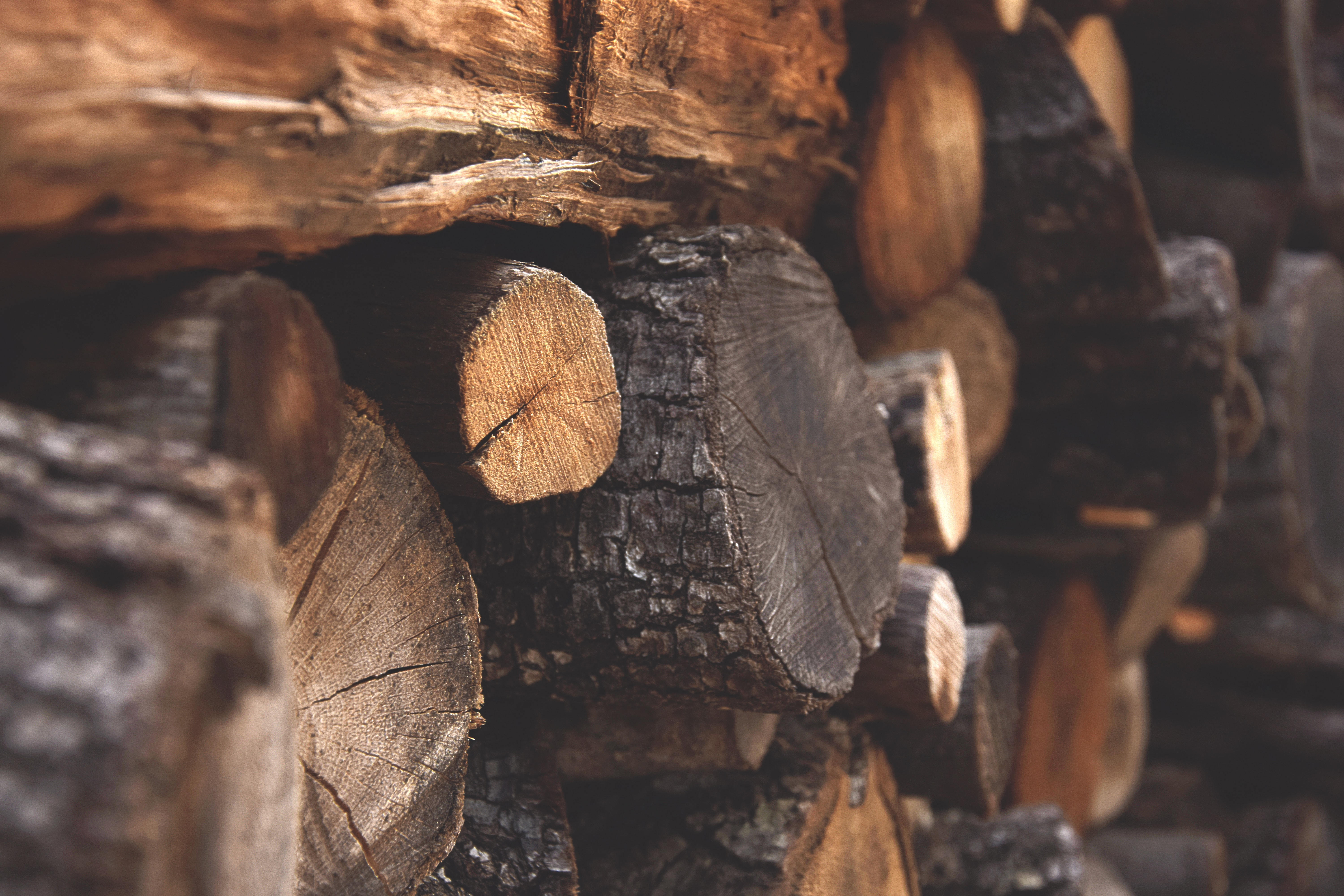 EU deforestation-free products regulation detrimental to free, fair trade — Minister